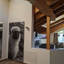 PAT 3BrPenthouse View P214 15